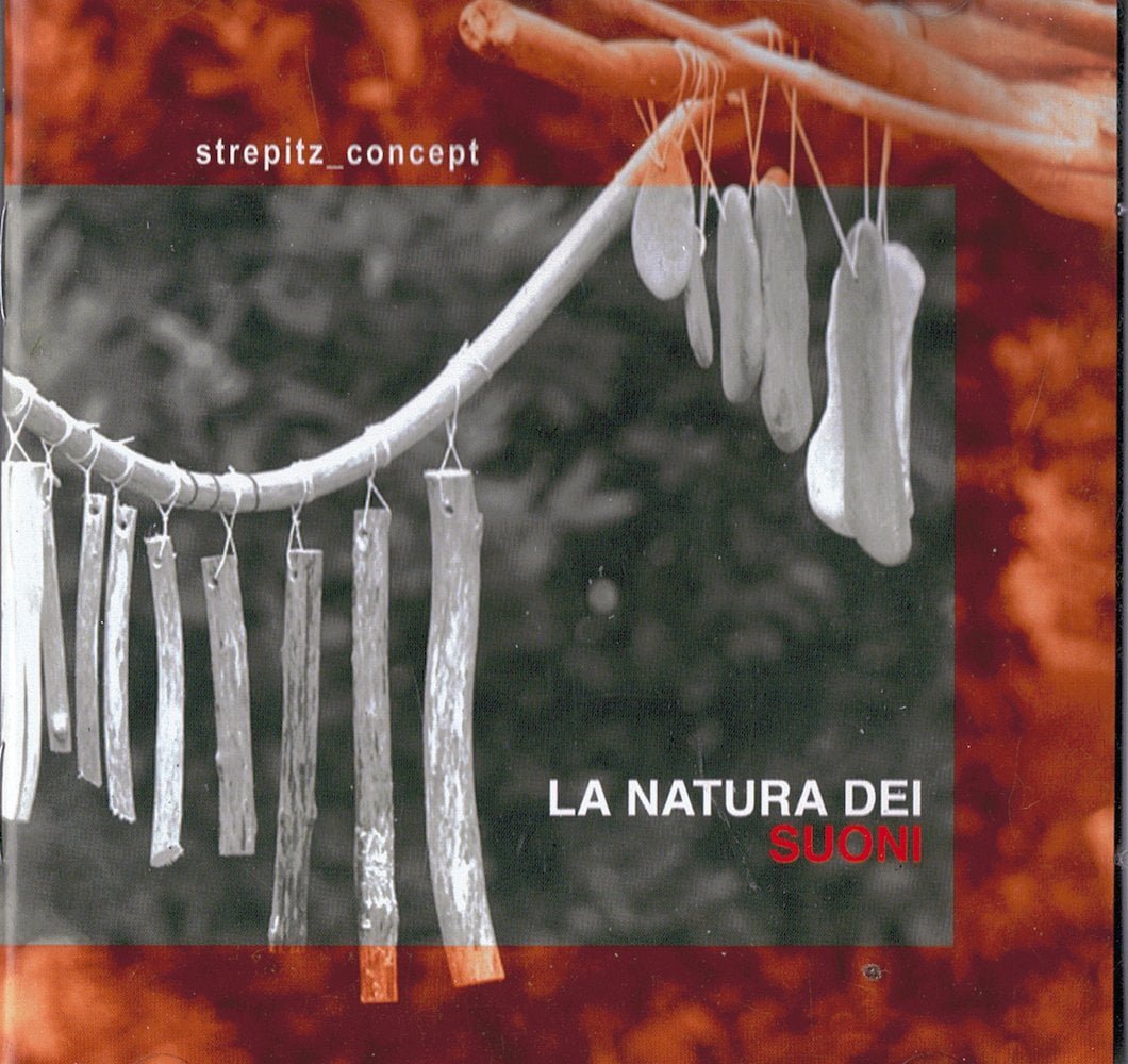2005-la-natura-dei-suoni